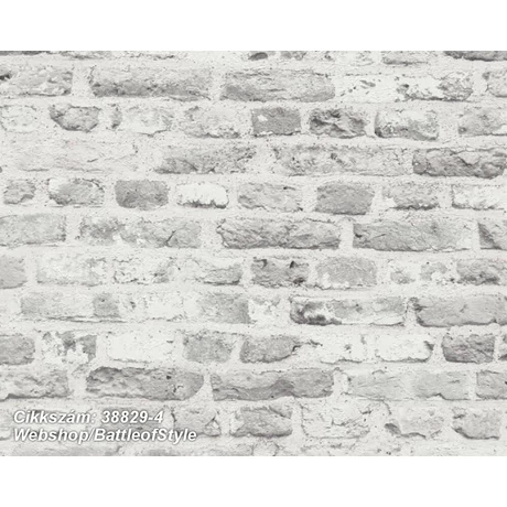 Battle of Style 38829-4