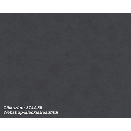 Black is Beautiful 3744-55