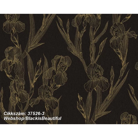 Black is Beautiful 37526-3