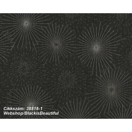 Black is Beautiful 38818-1