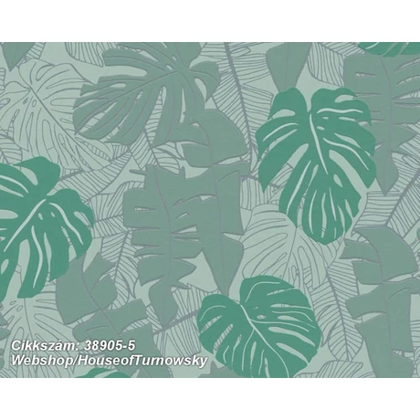 House of Turnowsky 38905-5