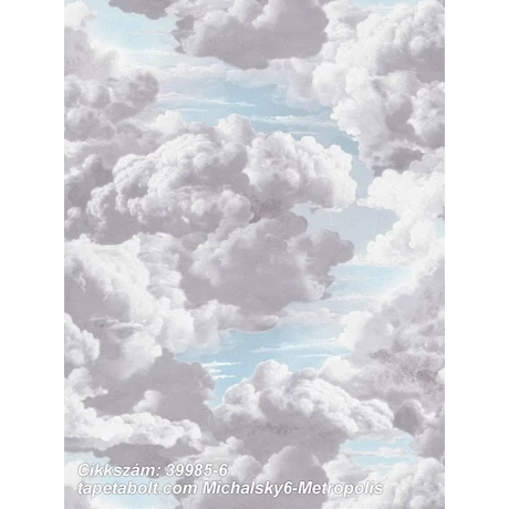 Michalsky 6 - Metropolis 39985-6