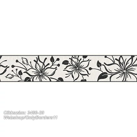 Only Borders 11 3466-29