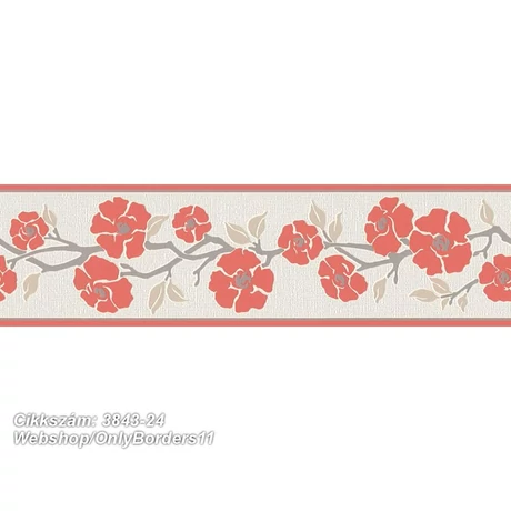 Only Borders 11 3843-24