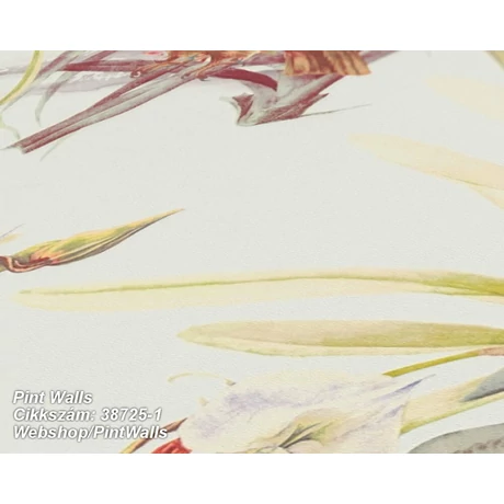 piros-bordó tapéta