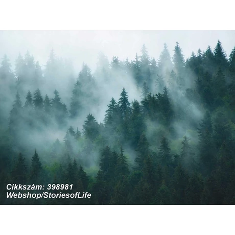 Stories of Life 398981