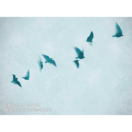 Stories of Life 399231