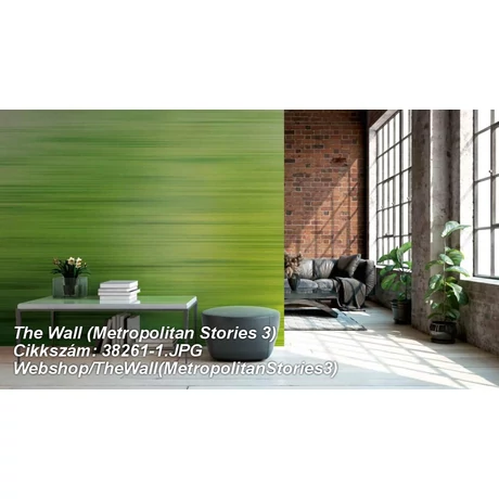 The Wall (Metropolitan Stories 3) 38261-1