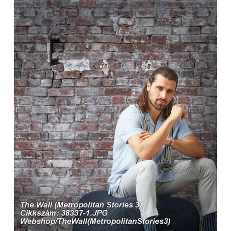 The Wall (Metropolitan Stories 3) 38337-1