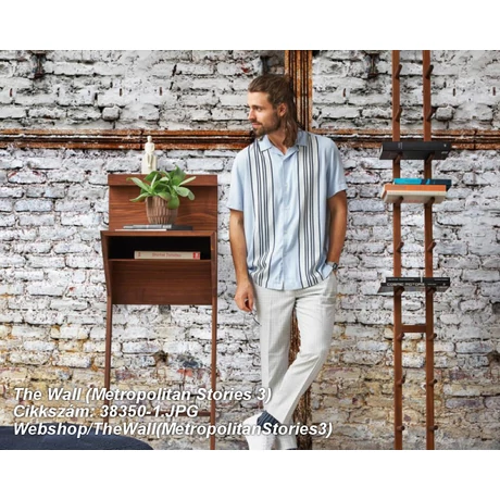 The Wall (Metropolitan Stories 3) 38350-1