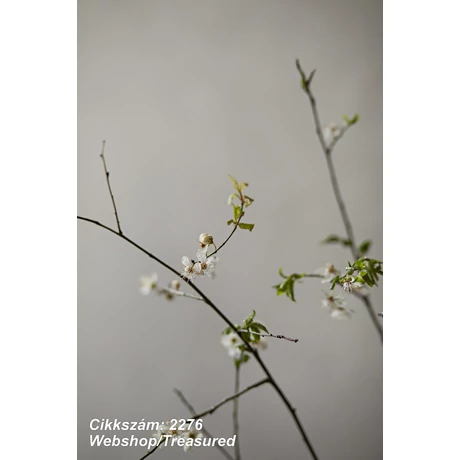 Treasured 2276  tapéta