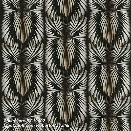 Roberto Cavalli 8 RC19002