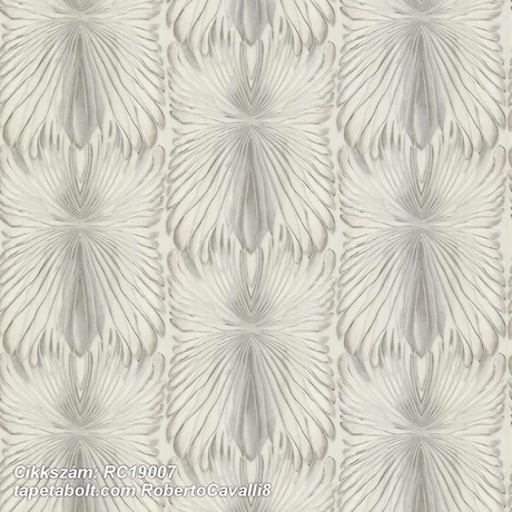 Roberto Cavalli 8 RC19007