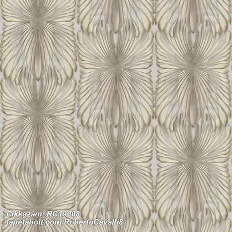 Roberto Cavalli 8 RC19008