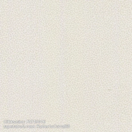 Roberto Cavalli 8 RC19016