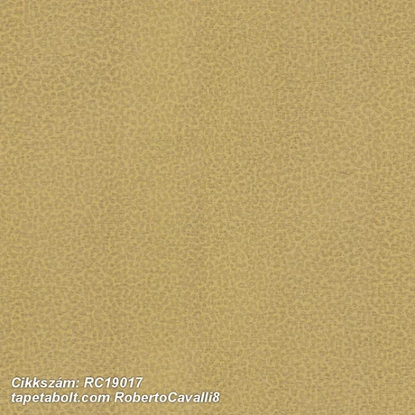 Roberto Cavalli 8 RC19017