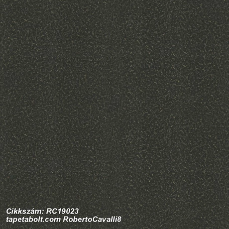 Roberto Cavalli 8 RC19023