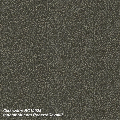 Roberto Cavalli 8 RC19025