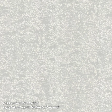 Roberto Cavalli 8 RC19034