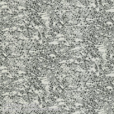 Roberto Cavalli 8 RC19035