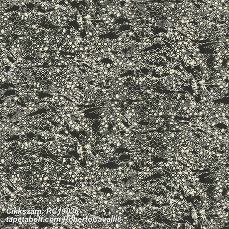 Roberto Cavalli 8 RC19036