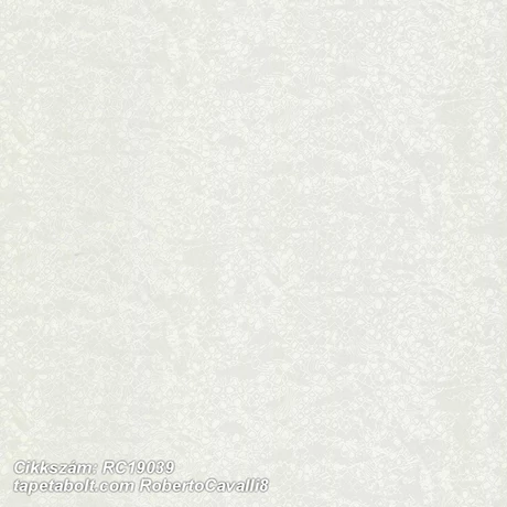 Roberto Cavalli 8 RC19039