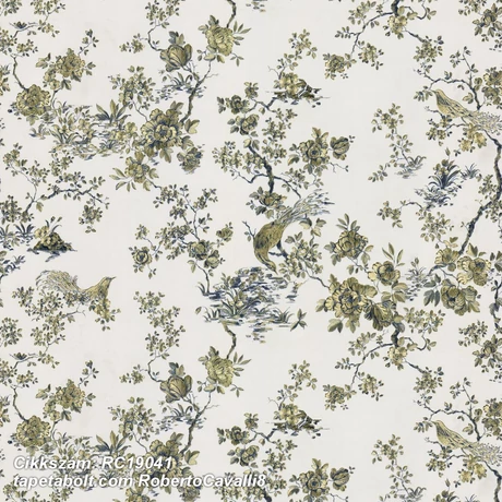 Roberto Cavalli 8 RC19041