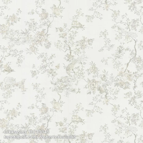 Roberto Cavalli 8 RC19045