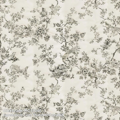 Roberto Cavalli 8 RC19046