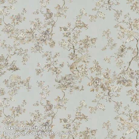 Roberto Cavalli 8 RC19047