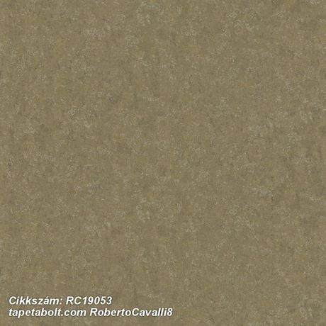 Roberto Cavalli 8 RC19053