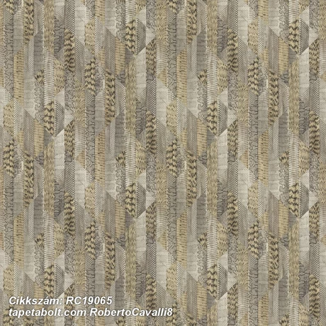 Roberto Cavalli 8 RC19065