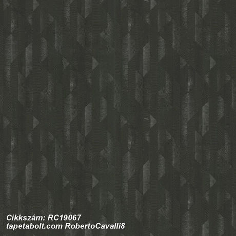 Roberto Cavalli 8 RC19067