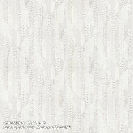 Roberto Cavalli 8 RC19068