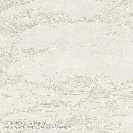 Roberto Cavalli 9 RC21025