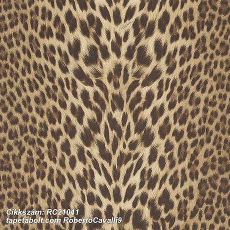 Roberto Cavalli 9 RC21041