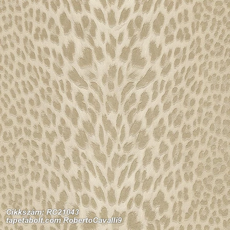 Roberto Cavalli 9 RC21043