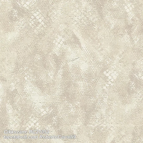 Roberto Cavalli 9 RC21053