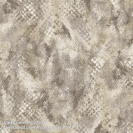 Roberto Cavalli 9 RC21054