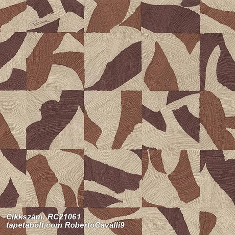 Roberto Cavalli 9 RC21061