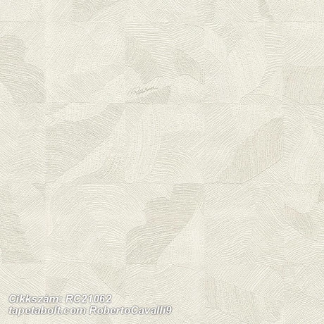 Roberto Cavalli 9 RC21062