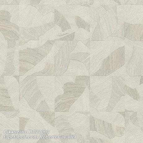 Roberto Cavalli 9 RC21063