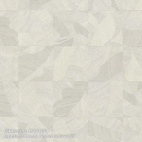 Roberto Cavalli 9 RC21064