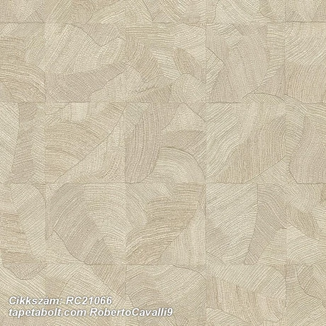 Roberto Cavalli 9 RC21066