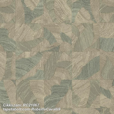 Roberto Cavalli 9 RC21067