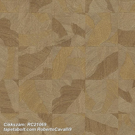 Roberto Cavalli 9 RC21069