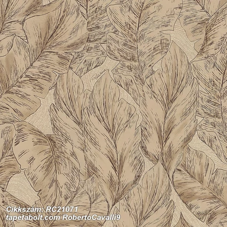 Roberto Cavalli 9 RC21071