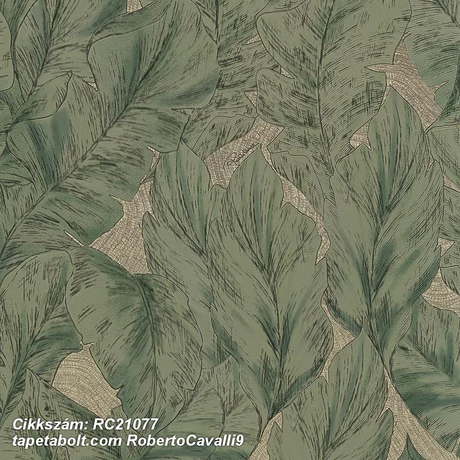 Roberto Cavalli 9 RC21077