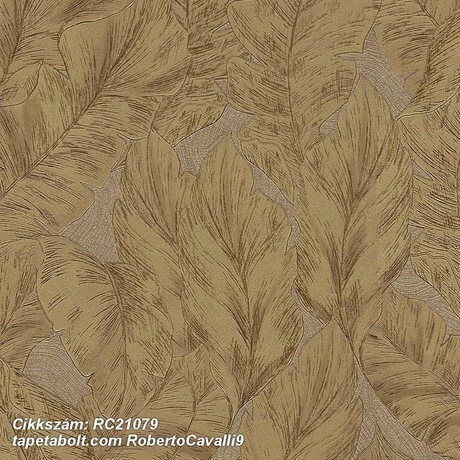 Roberto Cavalli 9 RC21079