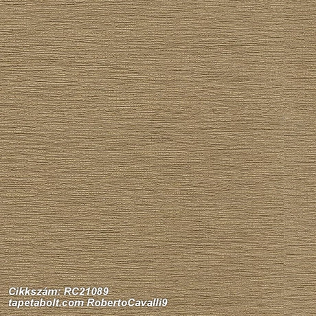 Roberto Cavalli 9 RC21089